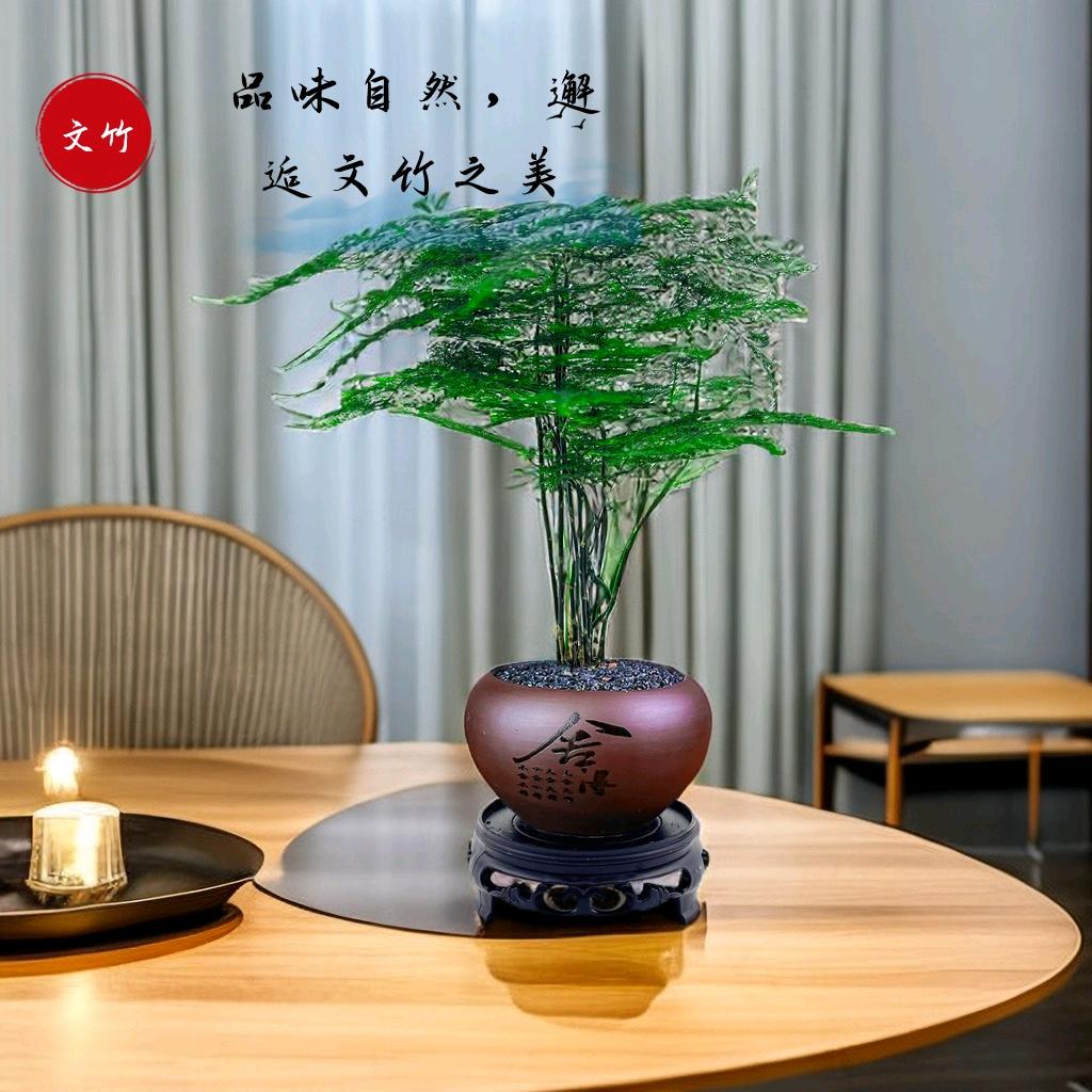 向阳桌面小盆栽🪴