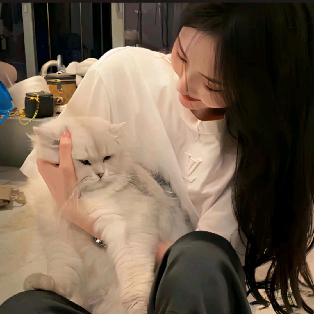 淡淡的忧伤
