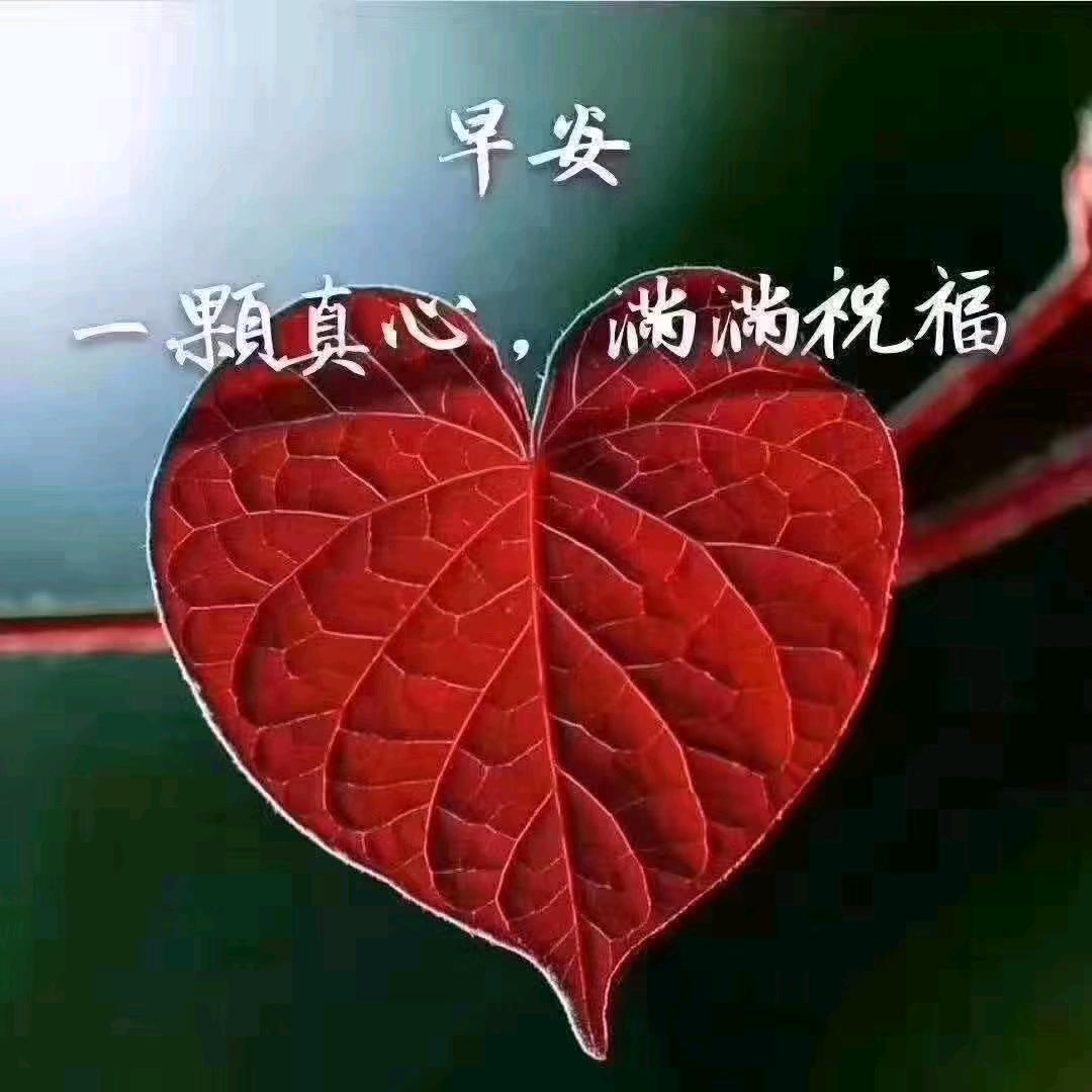 🧚🏻‍♀️念依