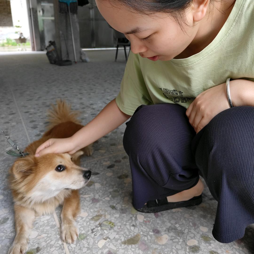 珍珍与田园犬