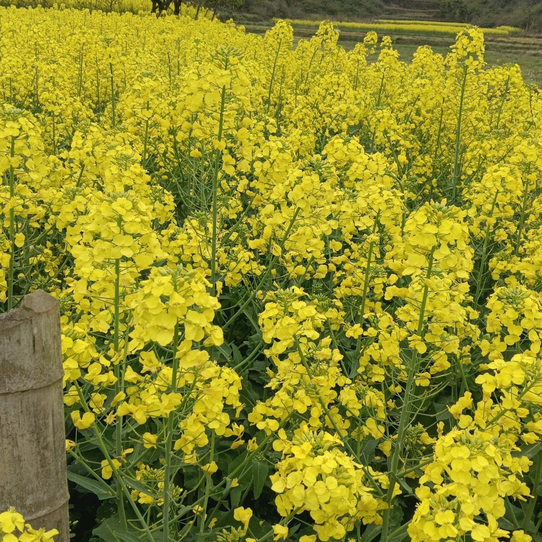 余生爱自己(◍•ᴗ•◍)❤