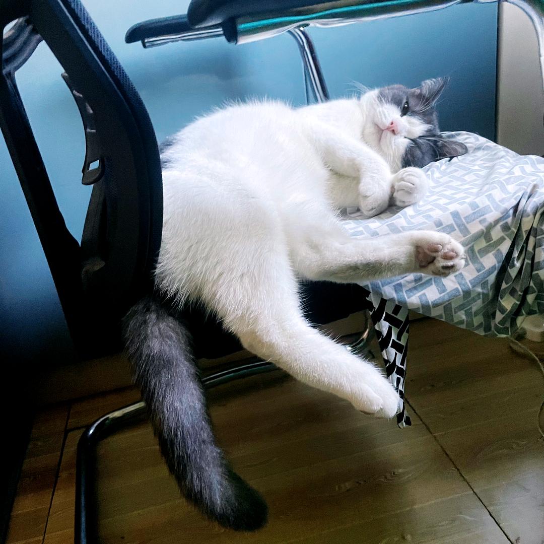 抬头45度仰望天空丿