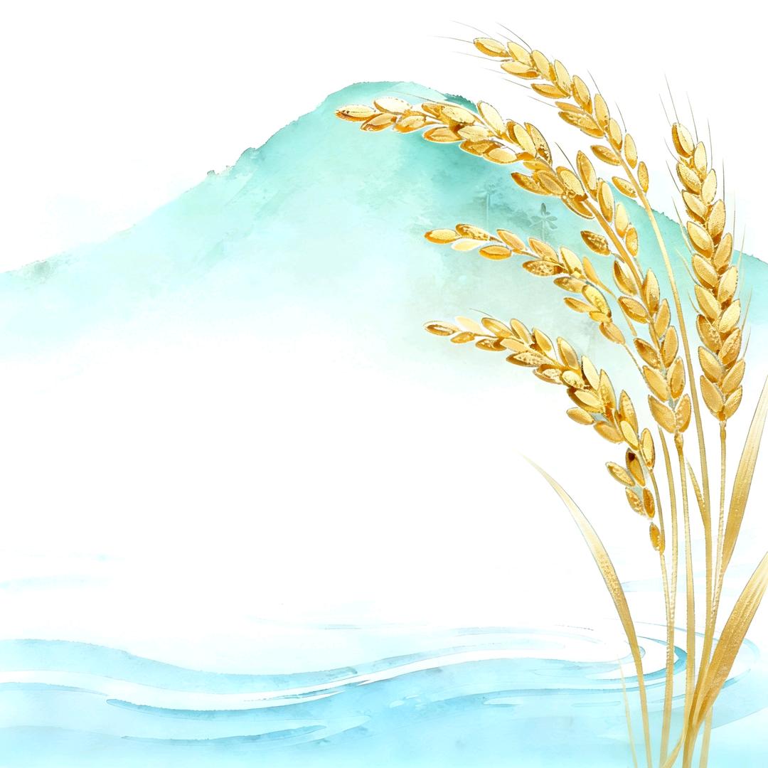 北溟金·🐉རྡོ་རྗེ།