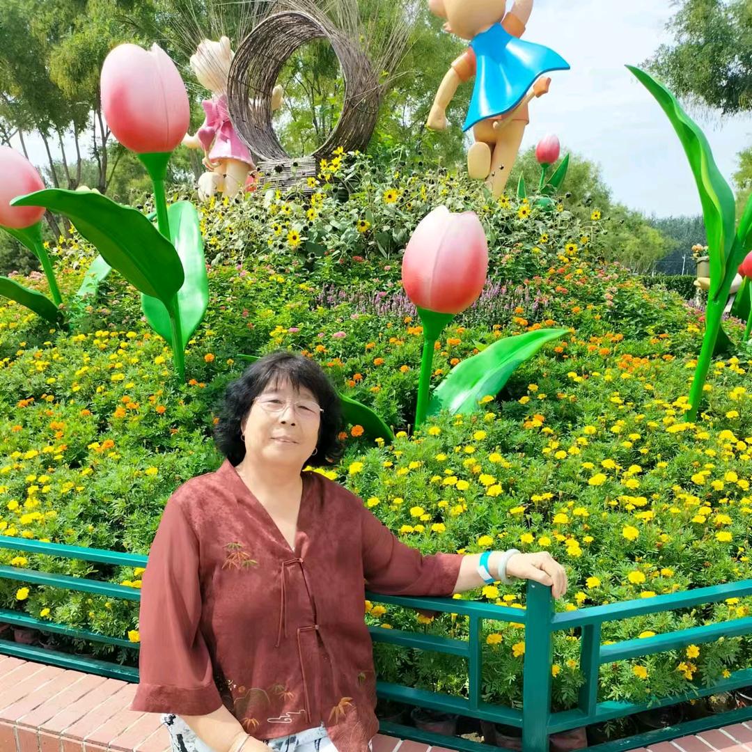 开心果