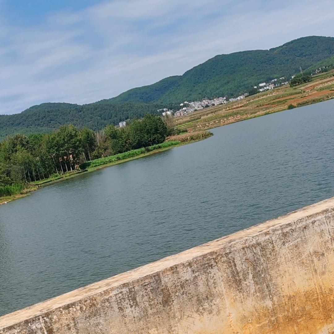 从此只碰杯中酒