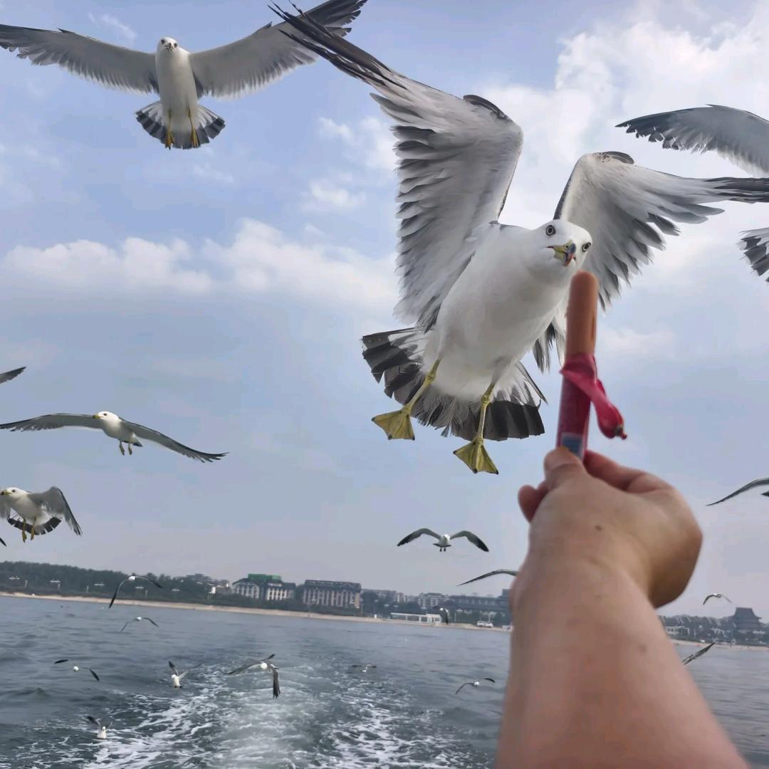 এ相᭄💞ღ遇᭄ꦿএ᭄