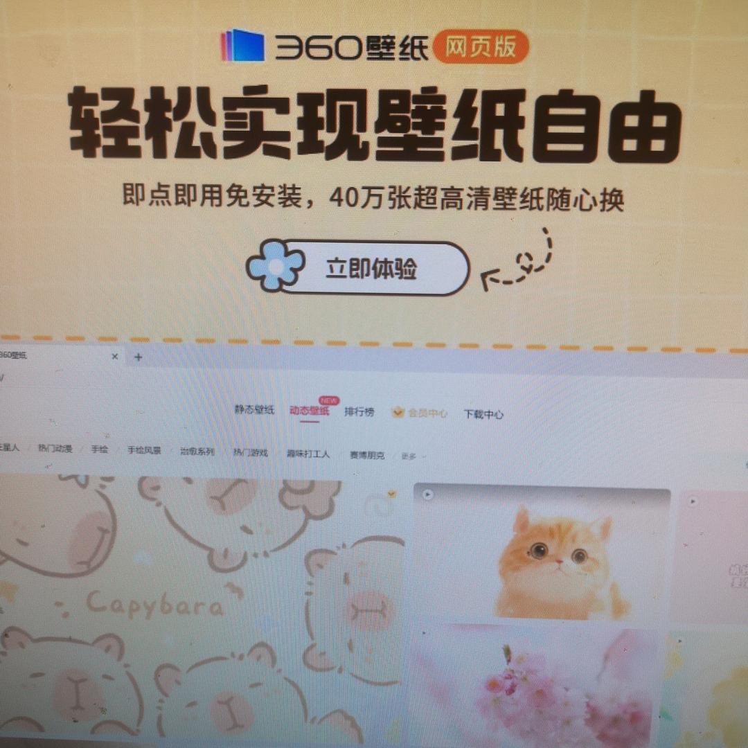 新手