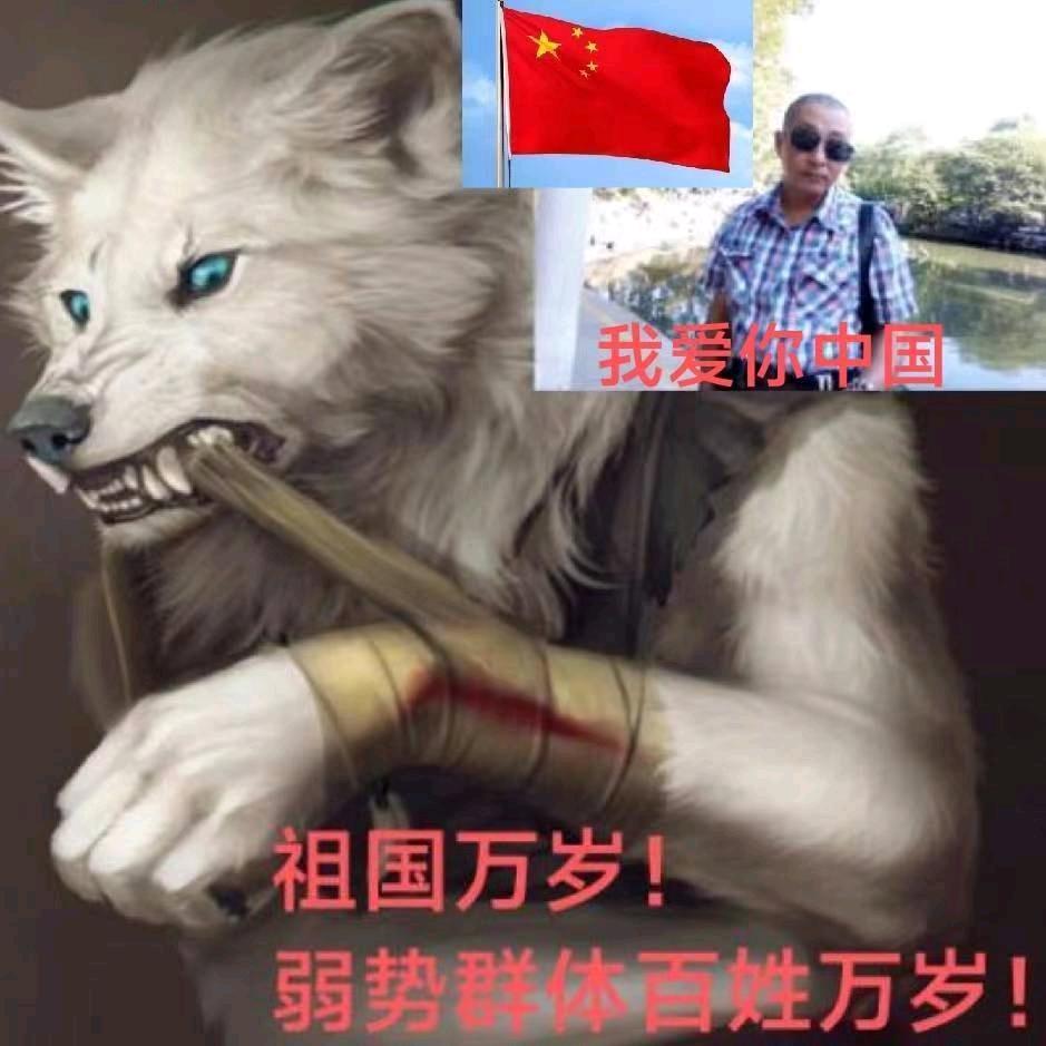 雪中狼