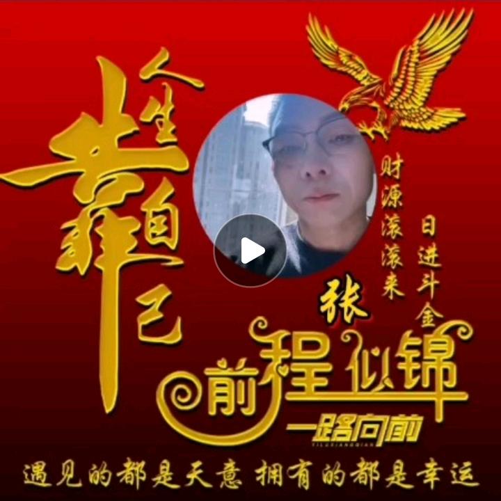 倾城精英