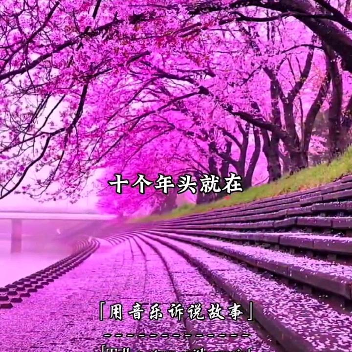 💦一叶🍀知秋💦