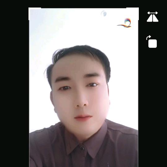 马哥常年买树🌲不忘初心