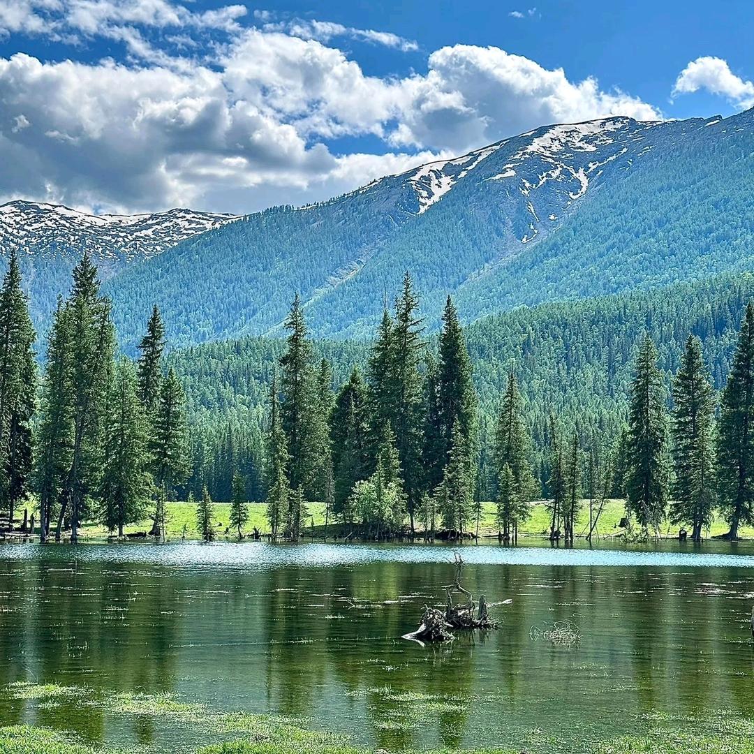 春山可望