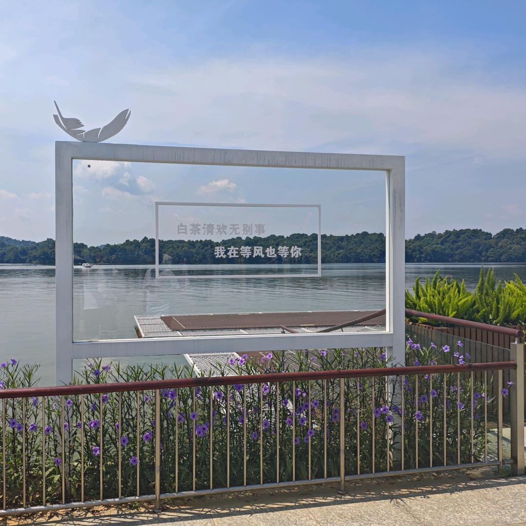 一直在奋斗的路上