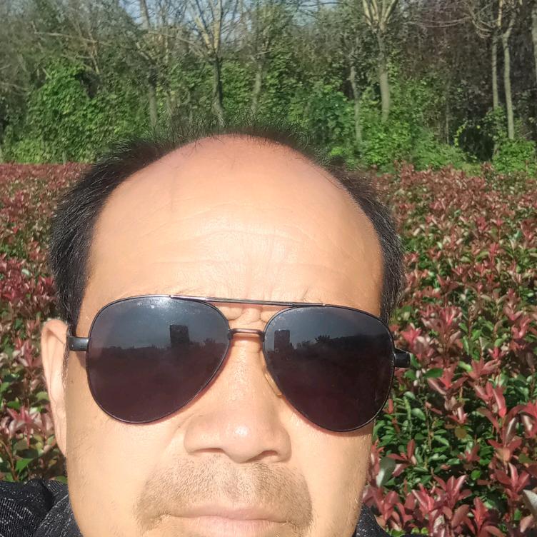 秦峰园林王师1814936940