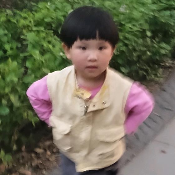 宋宋哥