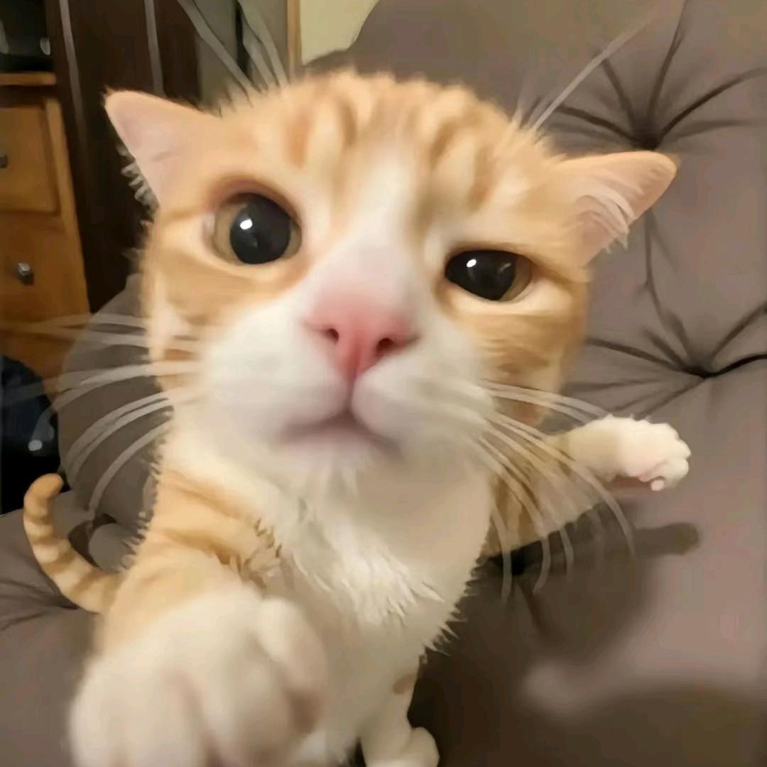 逐微