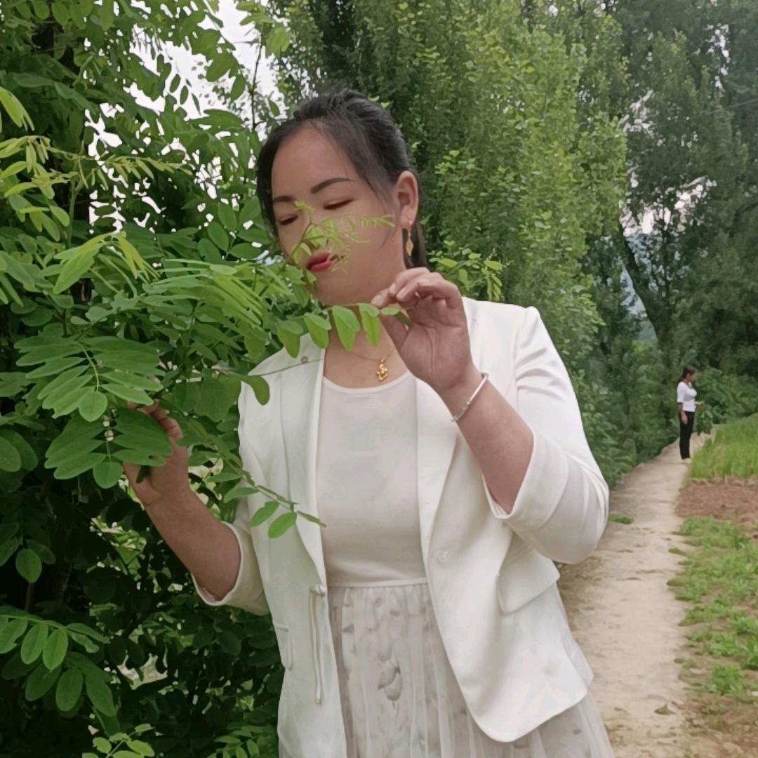 朱丫头