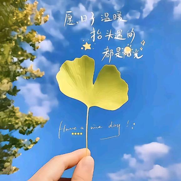 💞 ღ᭄往事清零🍒᭄💞