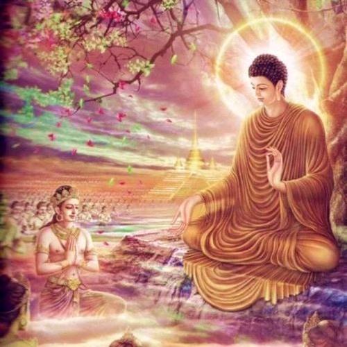 霖睿投资有限公司