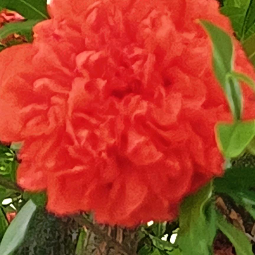 (⑉°з°)-♡余生安(ღ˘⌣˘ღ好