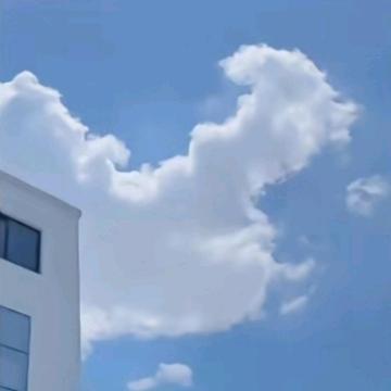 清松