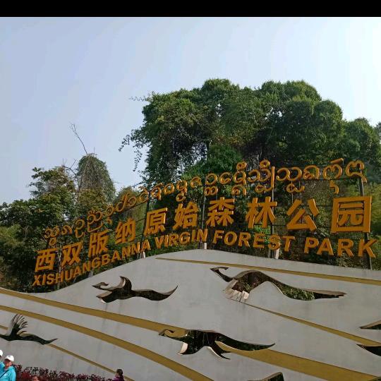 布衣
