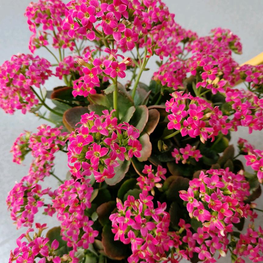 ，遥远的前方，↣