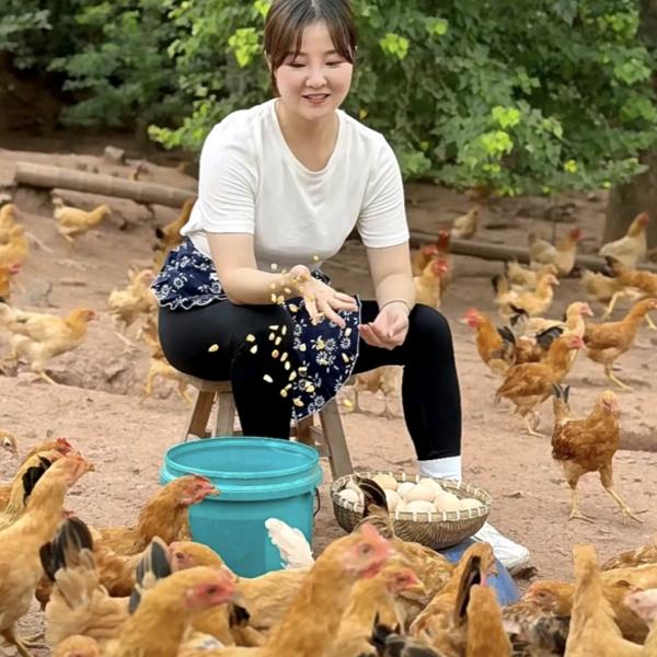 牧饲康农业@豆丁家禽养殖