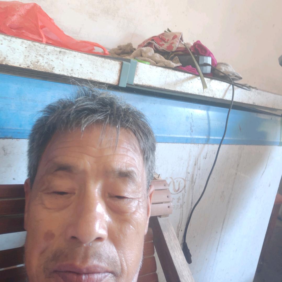 龙