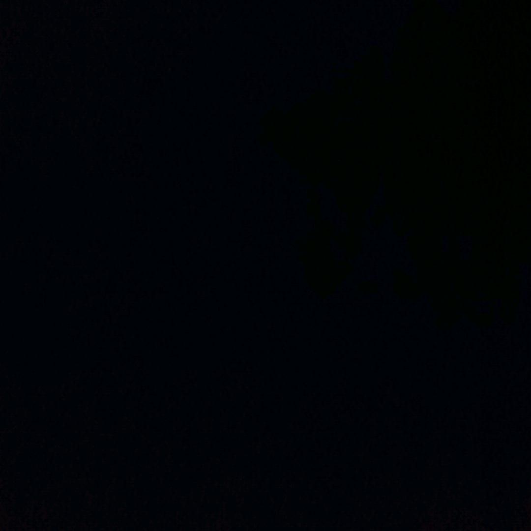 邪恶垂耳兔