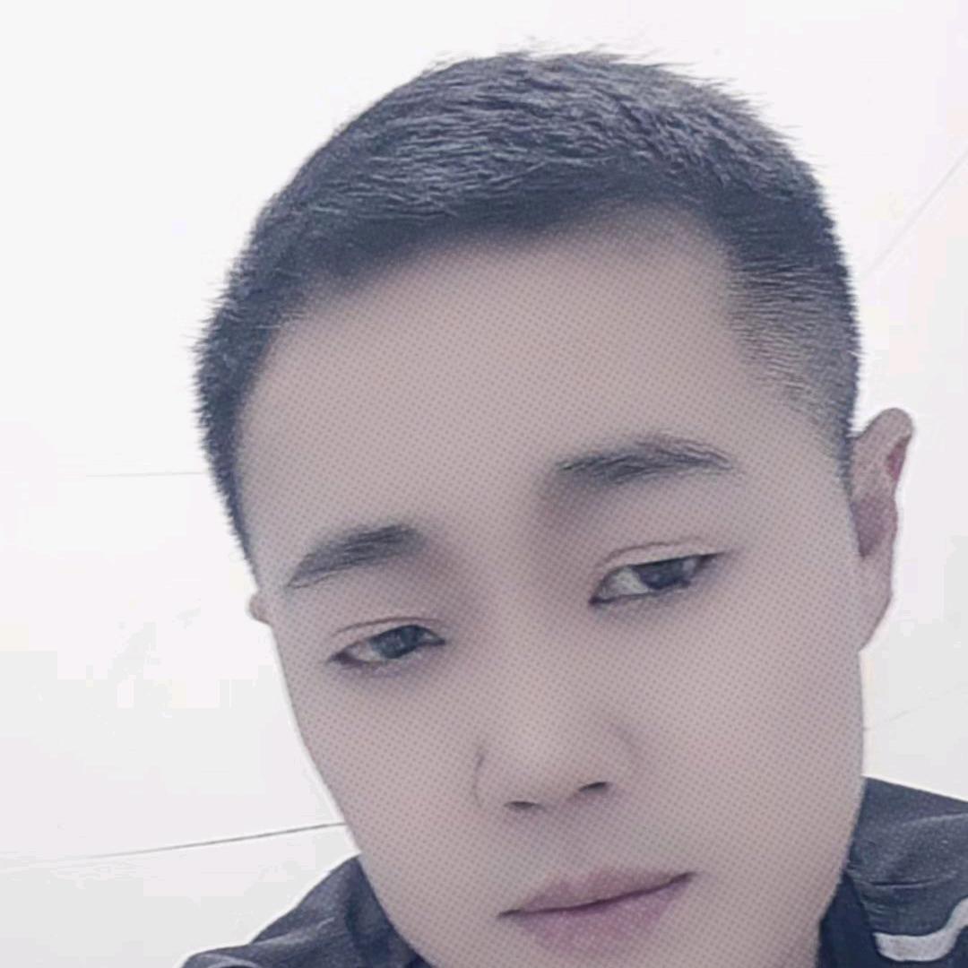 龙的传人