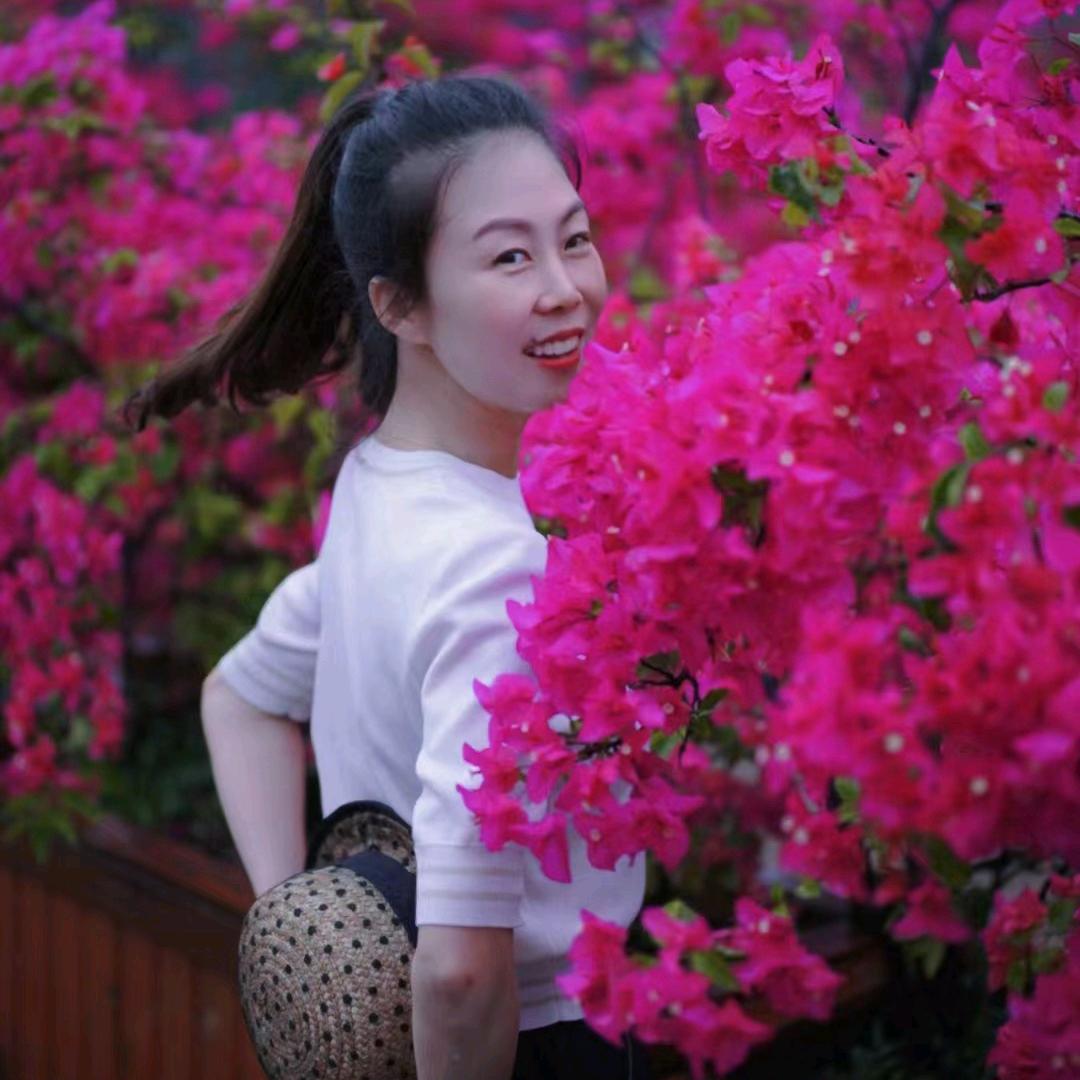 风中的承诺7456