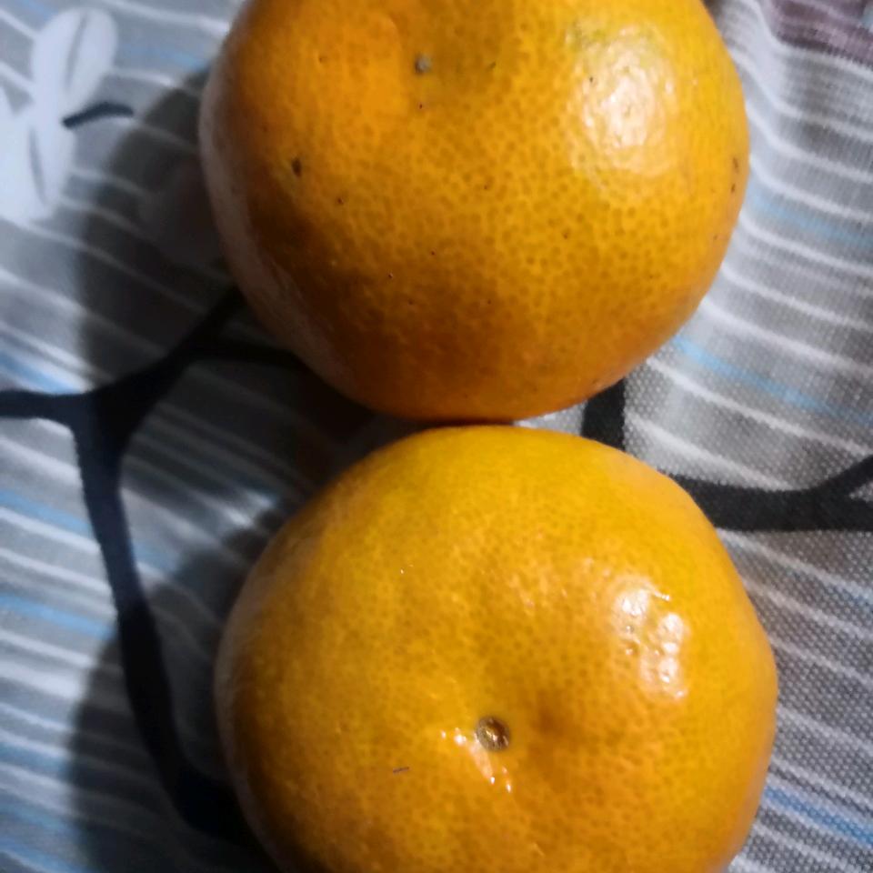 美森木业108