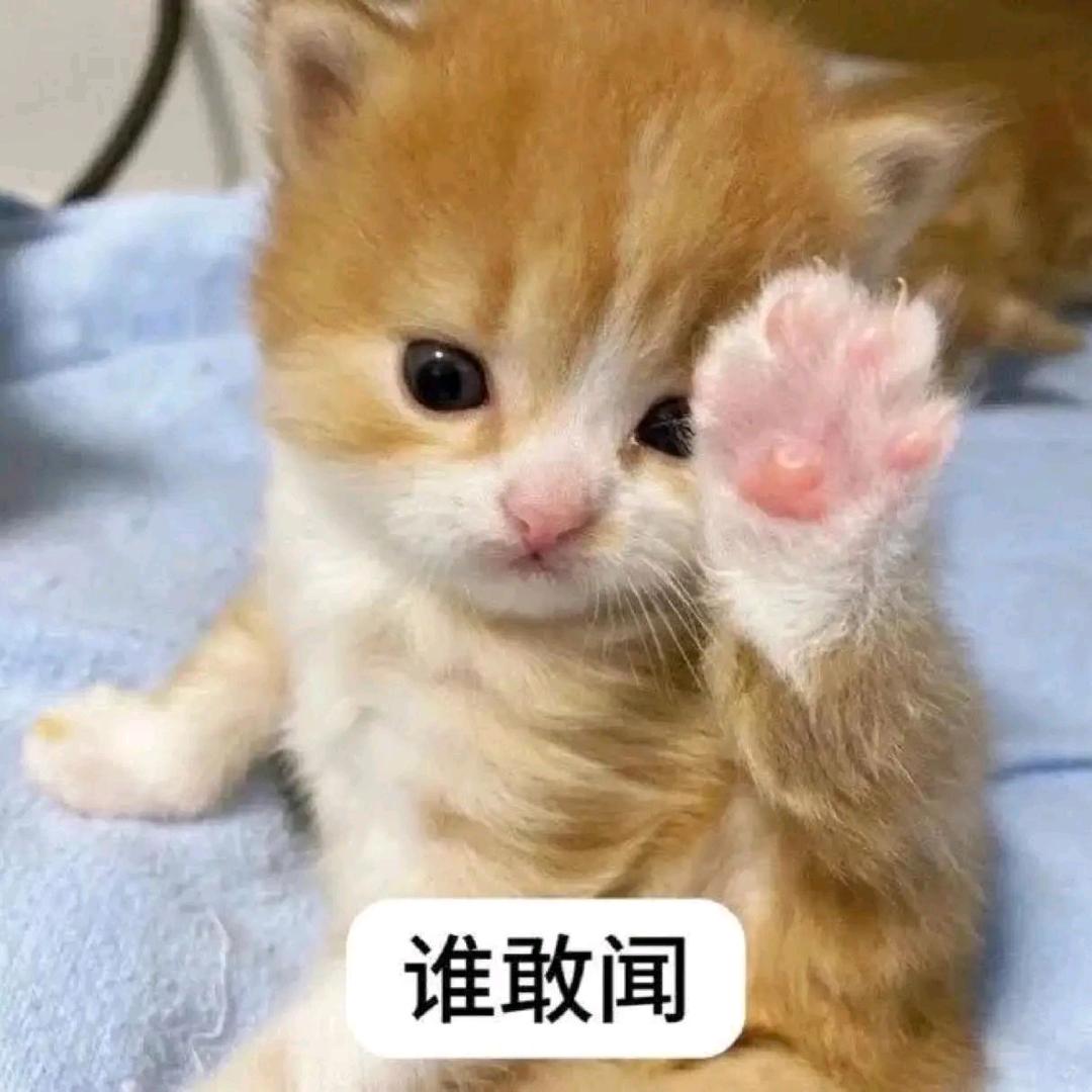 早点睡觉