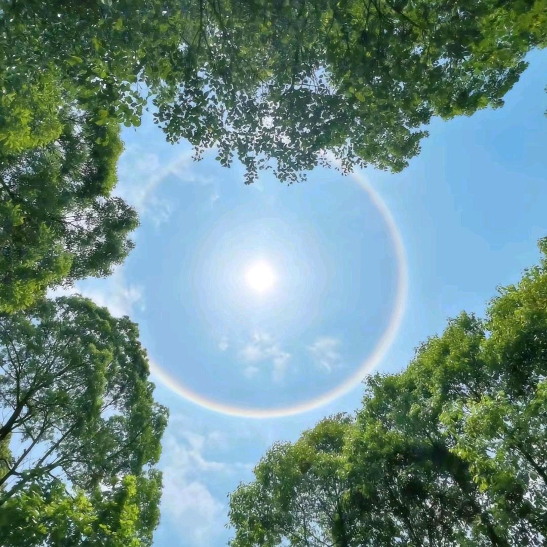 阳明