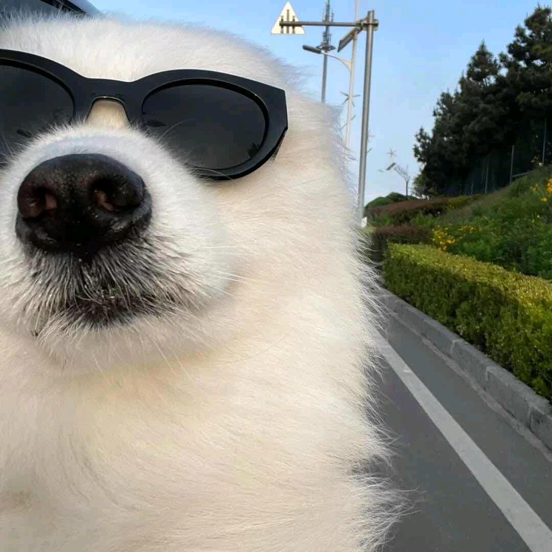 船长