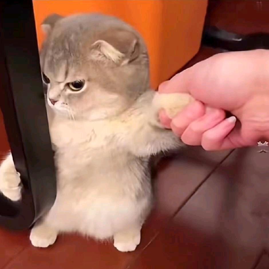刘祥