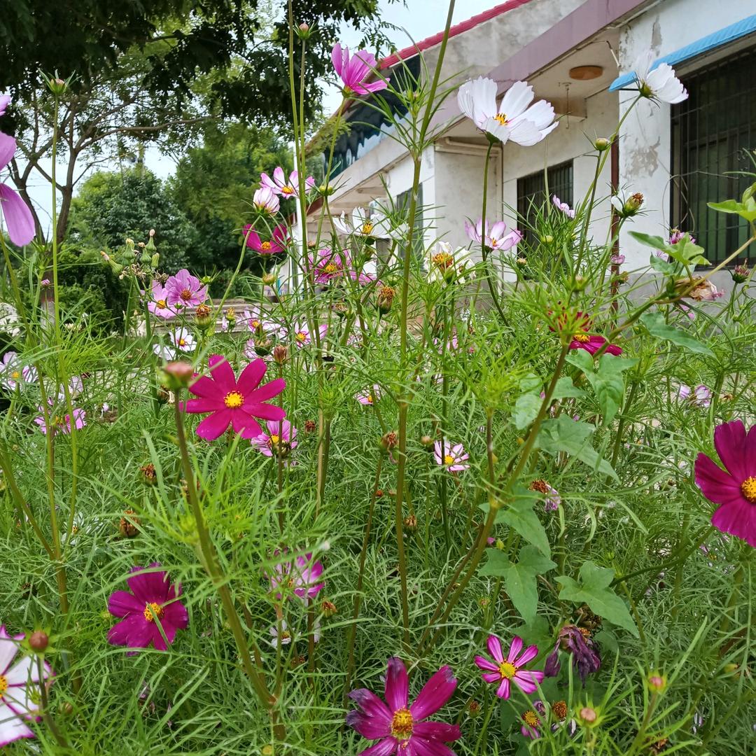 为缘寻找，为爱牵手👫👫👫👫