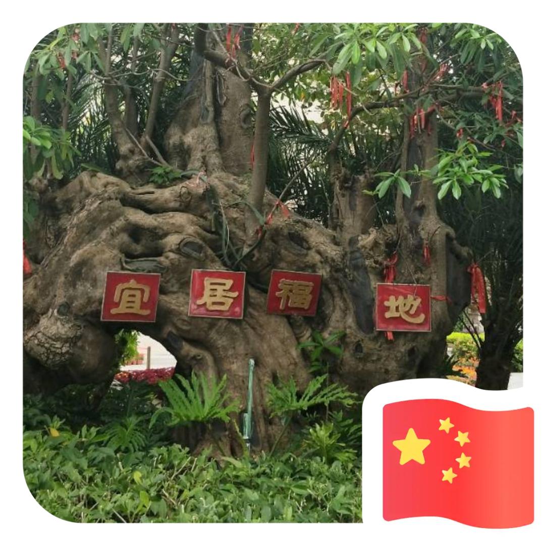 从前过往