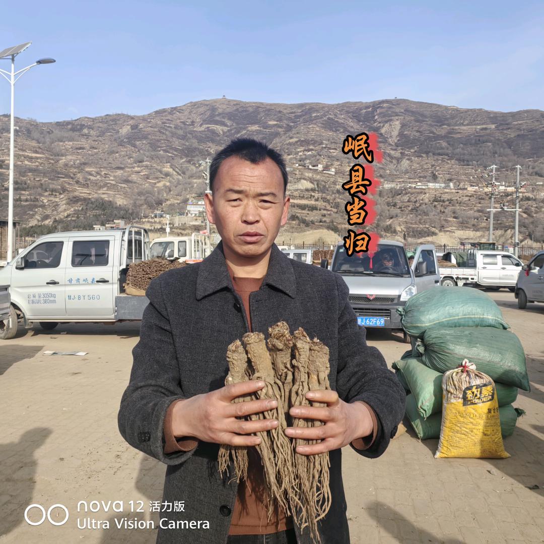 岷县农哥助力三农