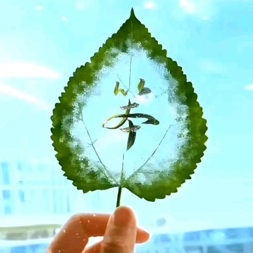 ꧁₅₂₀开心甜心¹³¹⁴꧂