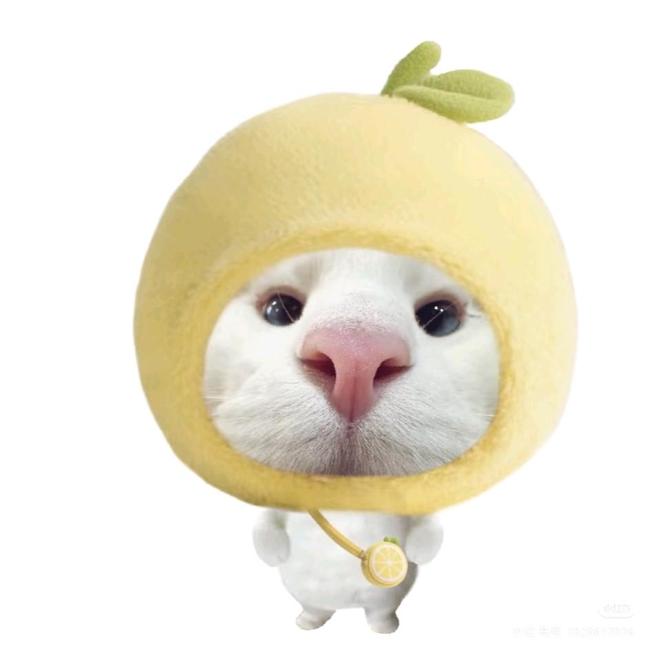 进击小丸🍋