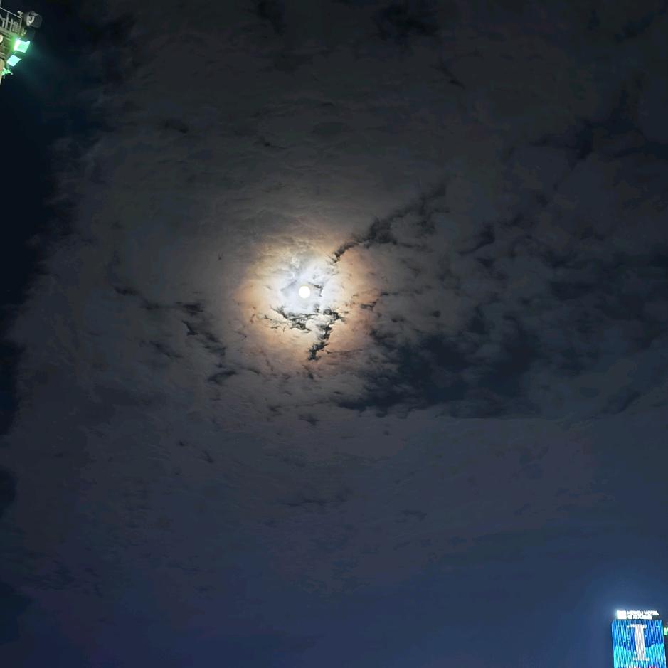 小马哥生活记录