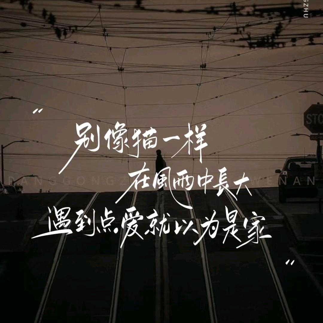 じ倾尽温柔わ