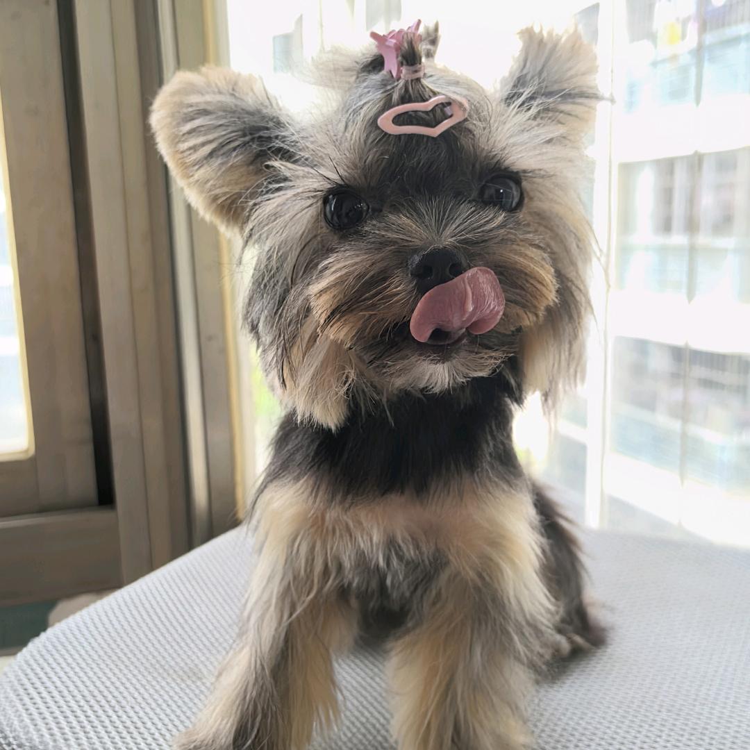 甜度刚刚好