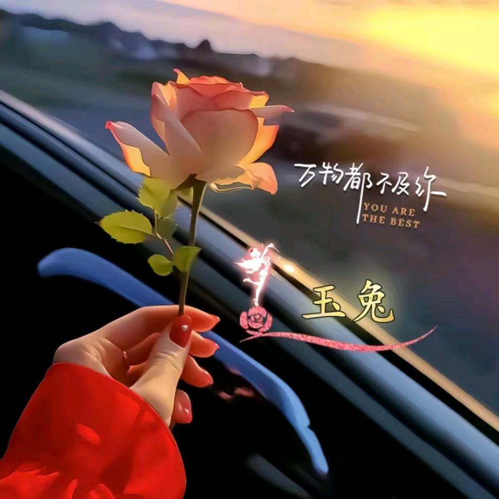 玉兔🌹🌈