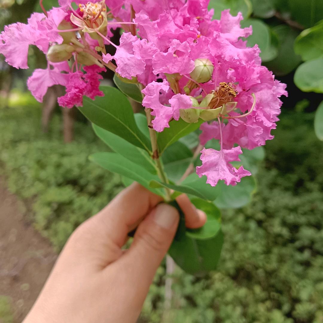 沉默