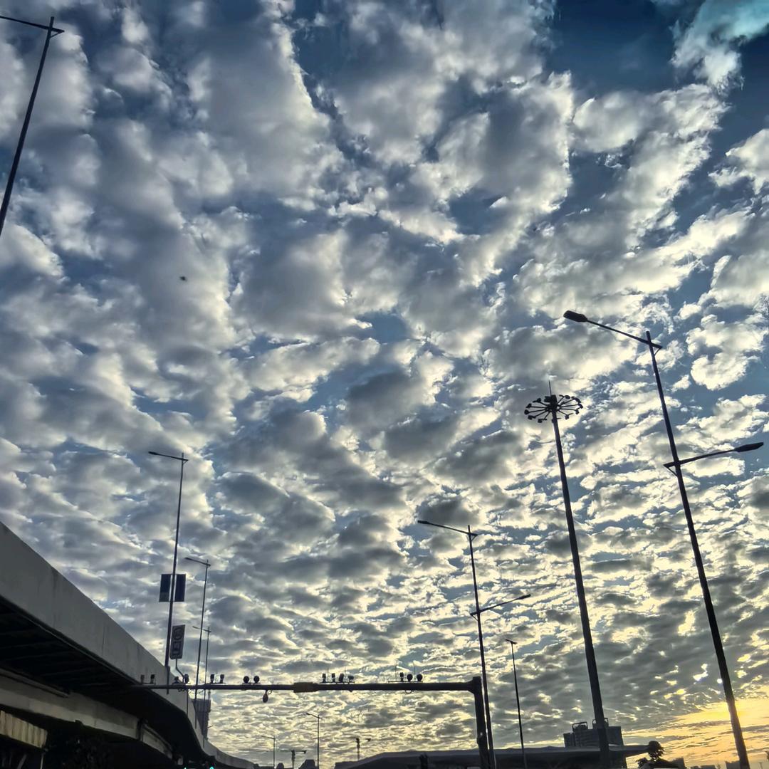 勤俭诚信 立己树人