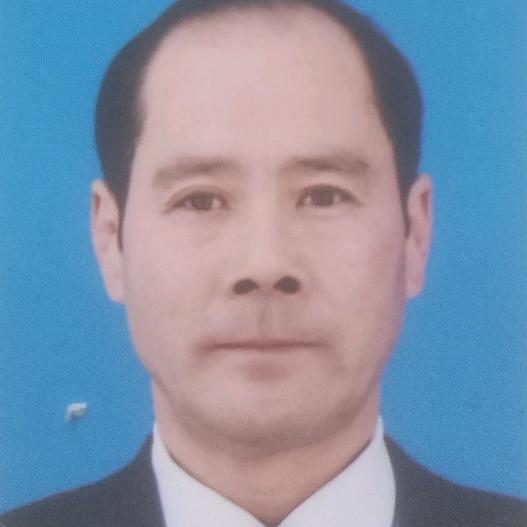 奋进哥