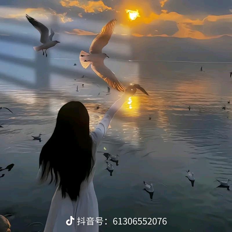 简爱余生安好